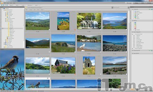 acdsee photo manager 12发布