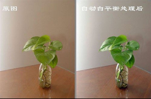 白平衡废<em>照片勿删</em>巧用光影魔术手修复_下载_