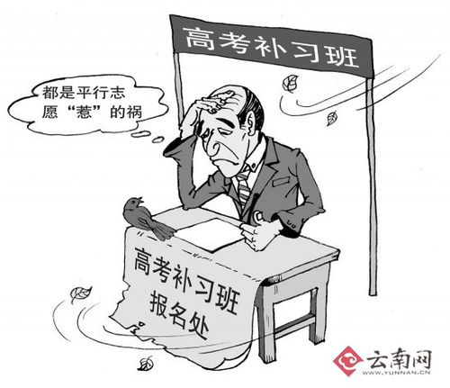 高考平行志愿增录取机会 高分复读生骤减 高考平行志愿增录取机会 高分复读生骤减