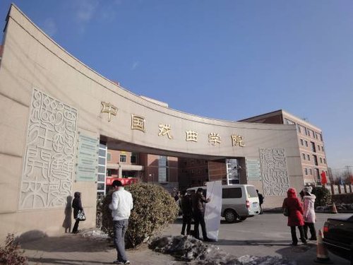 10人30秒演绎《一票难求》,中国戏曲学院本科招生考试难度“说不清”