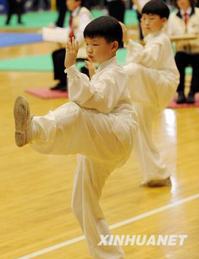 台湾举办青少年太极拳比赛