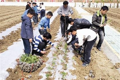 农村学校成了生态园 沼气池、猪圈、厕所立体