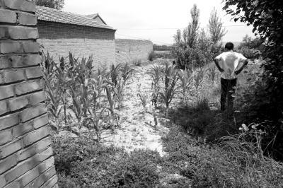 11学生围殴8岁龄童致死 称其闲来无事打人玩