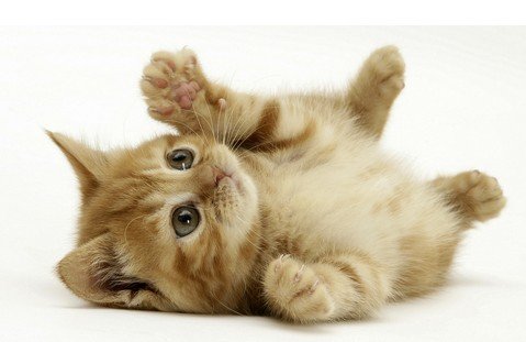 法语词汇学习:与人体部位有关的短语