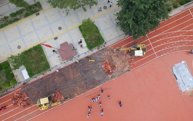 深圳毒跑道事件后制塑胶跑道标准 属国内首创_教育_腾讯网