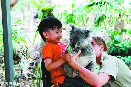 重庆妈妈带4岁儿穷游澳洲 称其性格因旅游变开