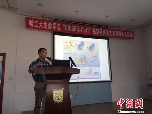中国科学家揭基因“编辑”运行机制:有望“消灭”癌症