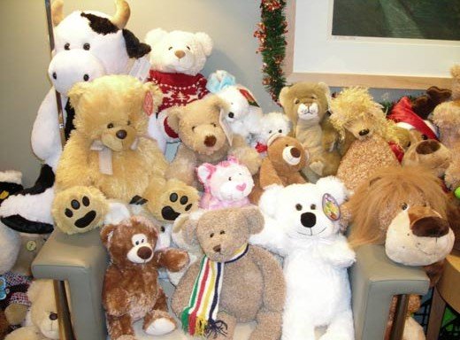 宝贝们最爱的泰迪熊的名称从何而来？