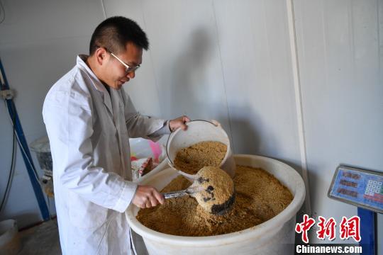 “95后”大学生校园养鸡创业 年营业额达80万