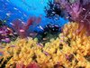 Вступительный экзамен профессионального инвентаря и море "касание"