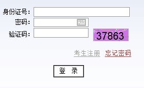 2013年中国美术学院高考录取查询系统