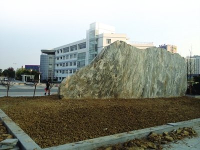 名贵石头排行_这块石头像鱼,估价5个亿,出场费20万起步(2)