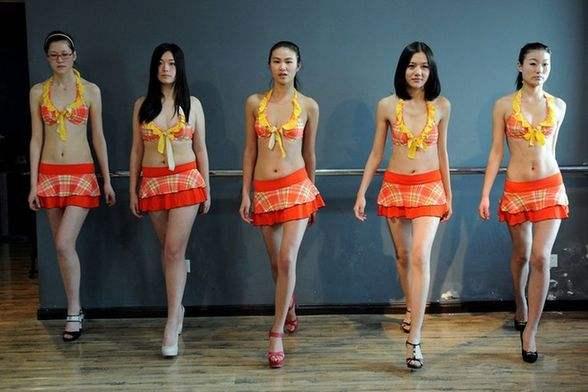 ������Ҫ���У�ϸ�淶��֯�տ�