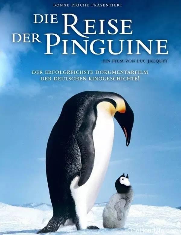 8部奥斯卡获奖纪录片 帮孩子收获心灵成长 