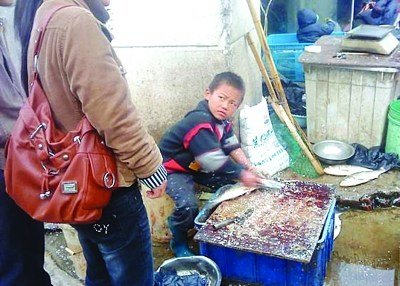 11岁杀鱼弟秒杀众网友 杀鱼技巧纯熟眼神犀利