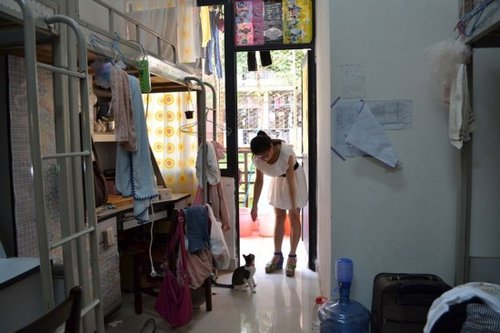 云南学生宿舍惨案_学生宿舍人均日用水量(2)