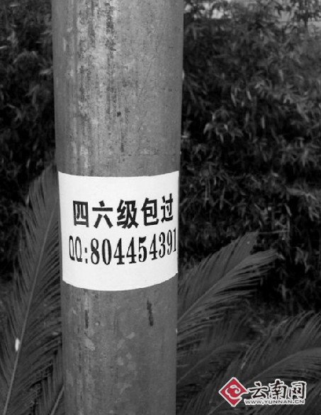 网络查询系统有漏洞 英语四六级假证横行高校