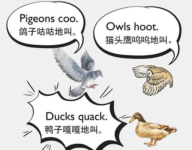 自然界中有各种声音 如何用英语来描述动物的