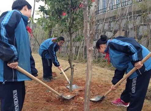 长沙多所中小学校园种树 为身边自然添绿