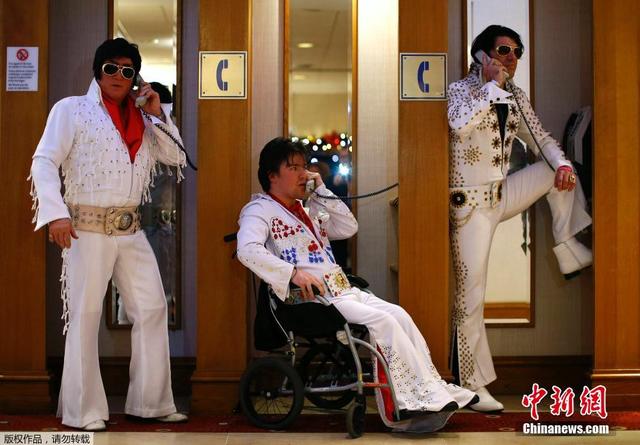 欧洲猫王模仿比赛举行 各路高手展昔日巨星风范