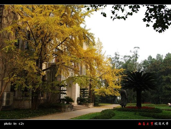 西南大学文学院_教育_腾讯网