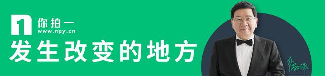 你拍一数学：“玩”出来的数学思维