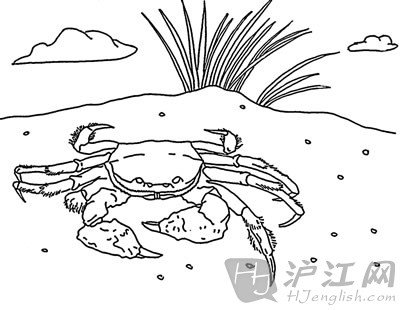 美食英语:大闸蟹英语怎么说