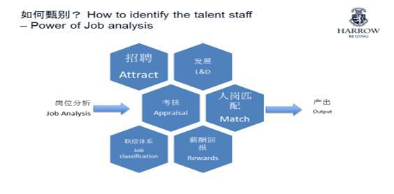 北京哈罗英国学校李宁:变革中的国际学校人力资源管理