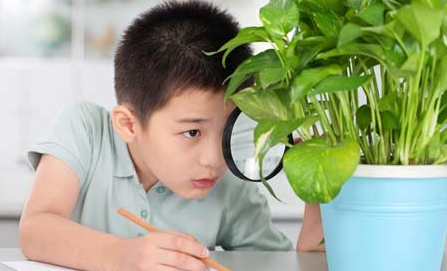 北京幼升小调查:揭超常班神童选拔的奥秘