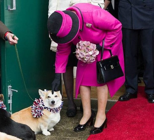 英女王帮学生解决上学问题 亲民形象受爱戴(图