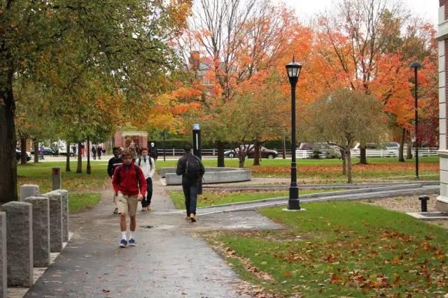 ��ȫ����ü��޸���ѧϰ��һ��ʲô��������