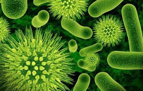 高二选择理科班如何学好“理科中偏文”的生物