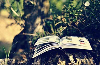 考研英语究竟要如何复习才能拿高分?