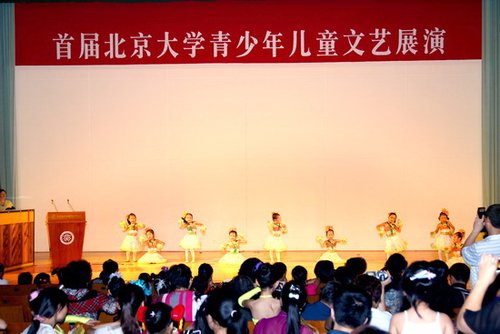 2013北京大学青少年儿童书画文艺征文大赛公告