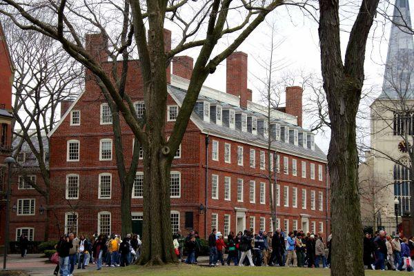 ������У�����ѧ���׳����� 31.5%�����й�