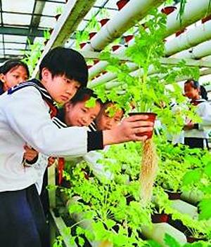 代表委员探讨“学生减负”:表面是教育问题,实则是社会问题