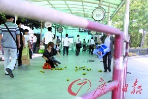 网友“演戏”测试千余路人爱心 仅21人通过测试