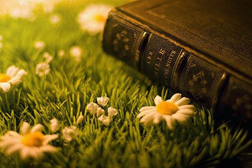 雅思备考指南:雅思听力常见三个问题之解析