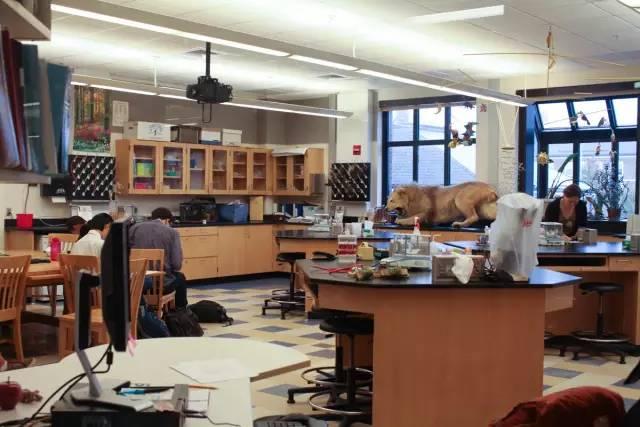 ��ȫ����ü��޸���ѧϰ��һ��ʲô��������