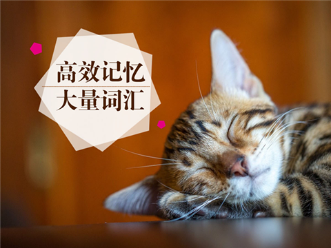 记单词不用愁，别让词汇书永远停留在“A”开头