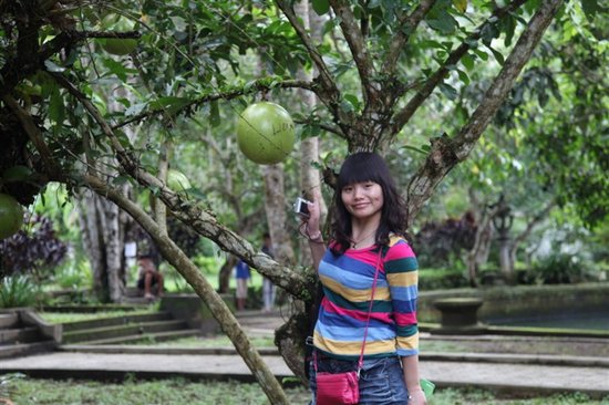 鼎盛教育魔奇英语:赵丽丽