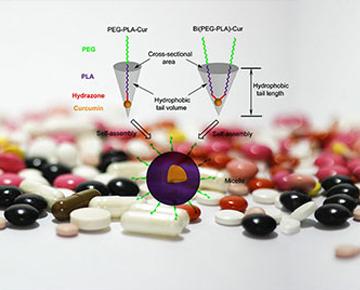 天大、南开携手构建智能抗癌纳米药物递送系统