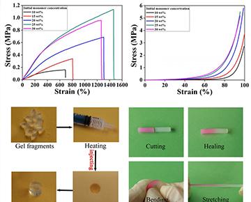 刘文广在多功能高强度水凝胶研究中成果显著