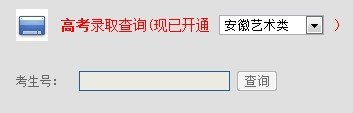 2013年湖南城市学院高考录取查询系统