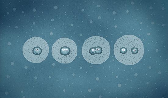 刚获得3亿投资的邢帅，正进行一场细胞分裂式改革