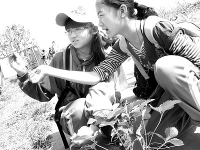 中学生在小汤山国家精准农业科普教育基地实践