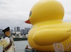 最大橡皮鸭亮相香港