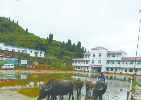 贵定落北河中学一<em>女生</em>被多名男生<em>性侵犯</em>_教育