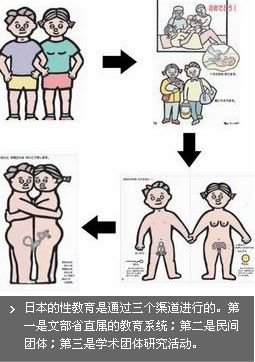 各国性教育:日本教科书封面有性器官的图(图)
