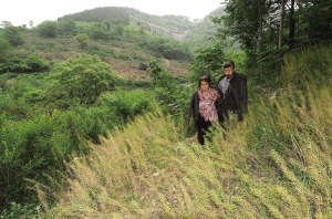 兄妹隐居深山20余年 哥哥失语妹妹双手如鸟爪